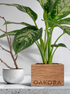 TreePot – Ansicht 2