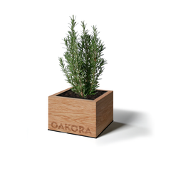 TreePot – Ansicht 1