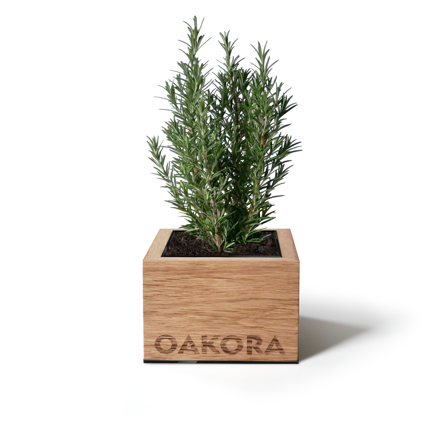 TreePot