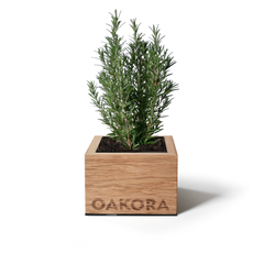 TreePot – Ansicht 3