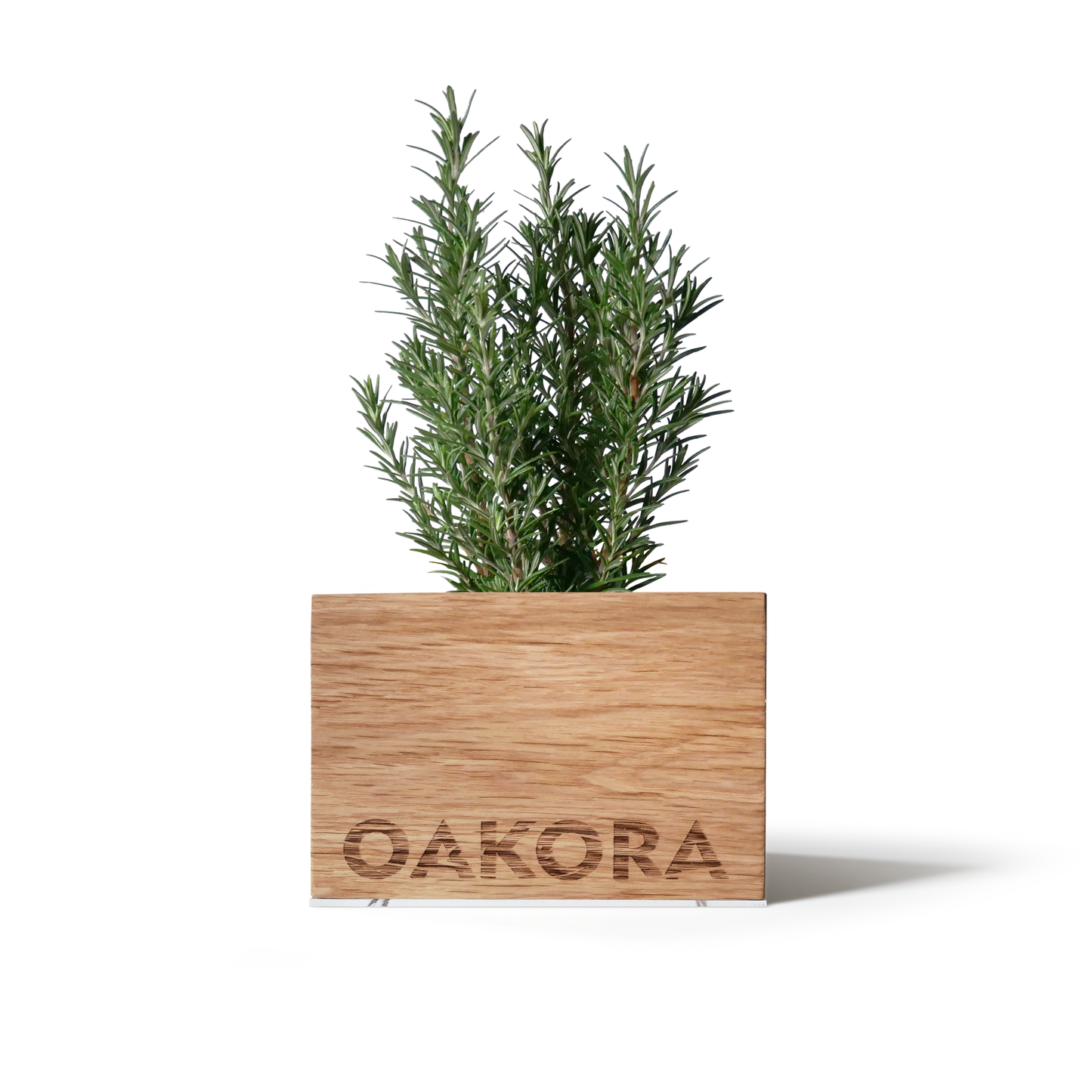 TreePot